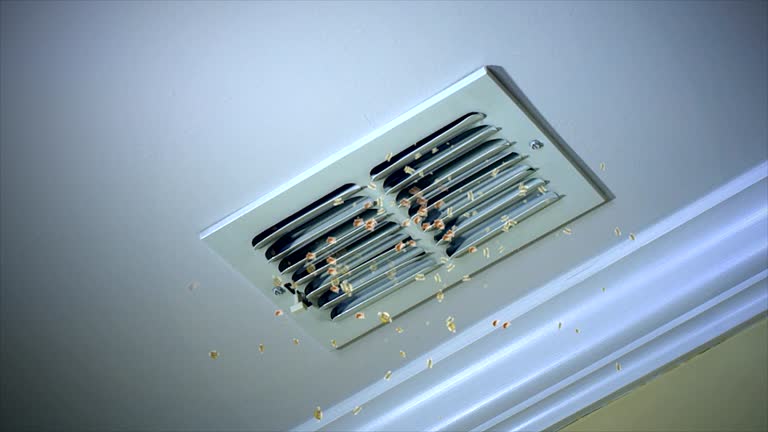 Best Ductwork Cleaning Services  in Arapahoe, WY