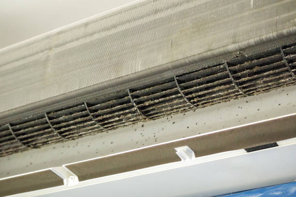 Best HVAC Duct Inspection Services  in Arapahoe, WY